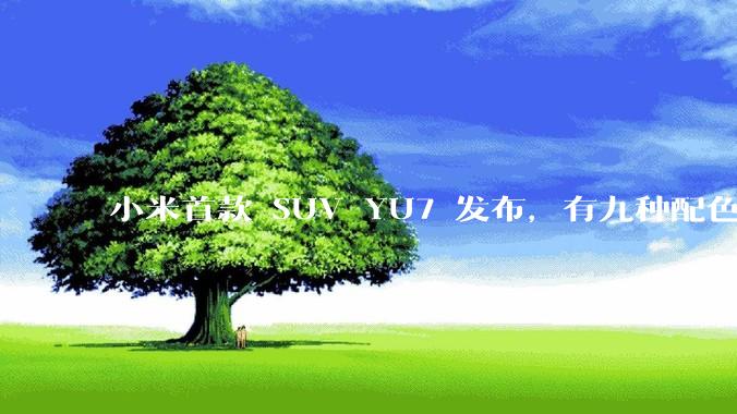小米首款 SUV YU7 发布，有九种配色，25.35 万元起售，该车市场竞争力如何？你会买吗？
