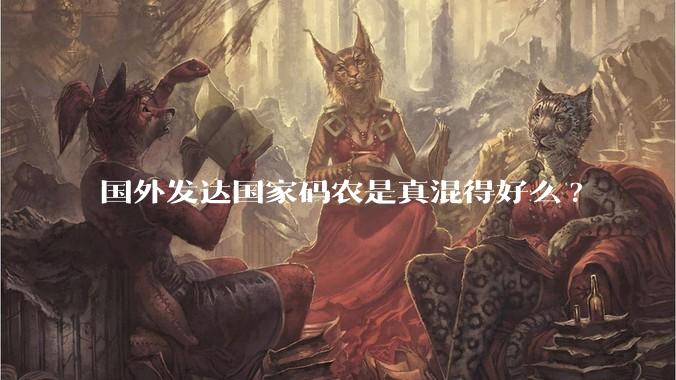 国外发达国家码农是真混得好么?