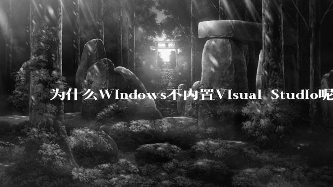 为什么Windows不内置Visual Studio呢?